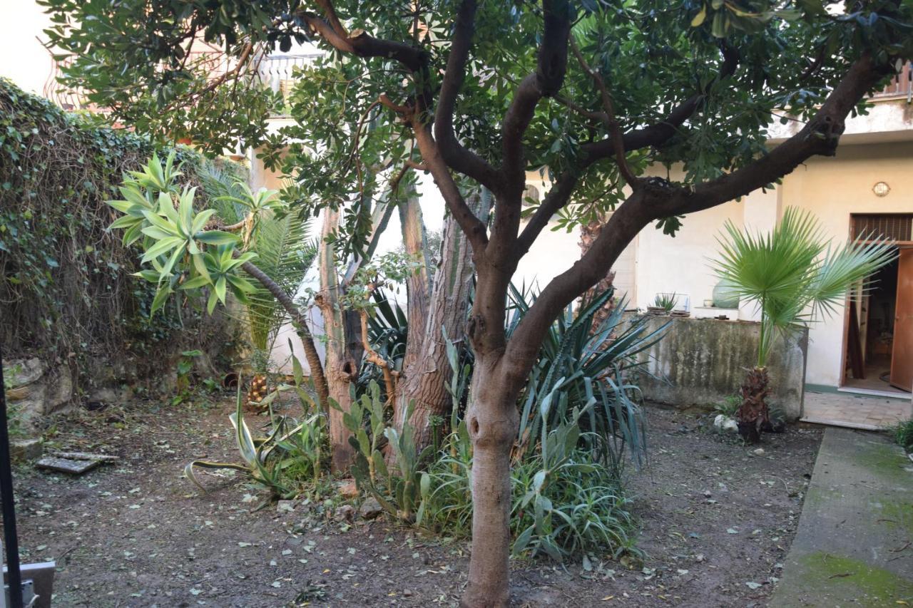 Artroom Garden Νότο Εξωτερικό φωτογραφία
