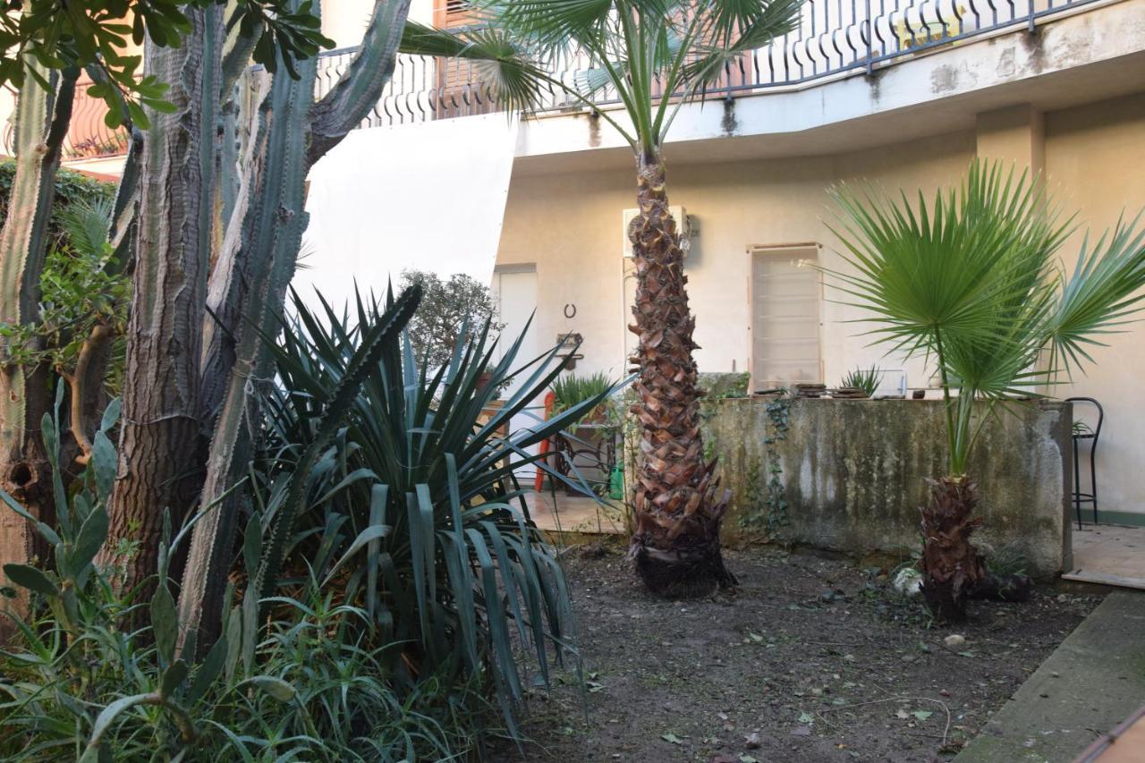 Artroom Garden Νότο Εξωτερικό φωτογραφία