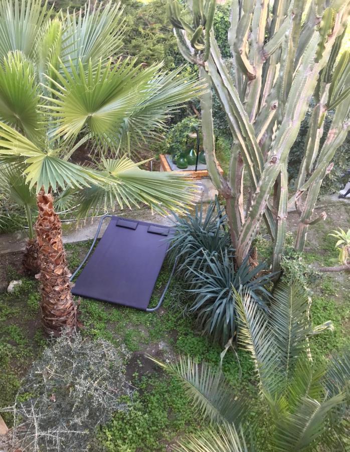 Artroom Garden Νότο Εξωτερικό φωτογραφία