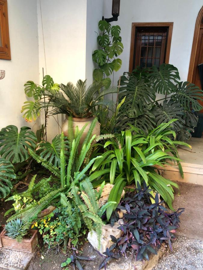 Artroom Garden Νότο Εξωτερικό φωτογραφία