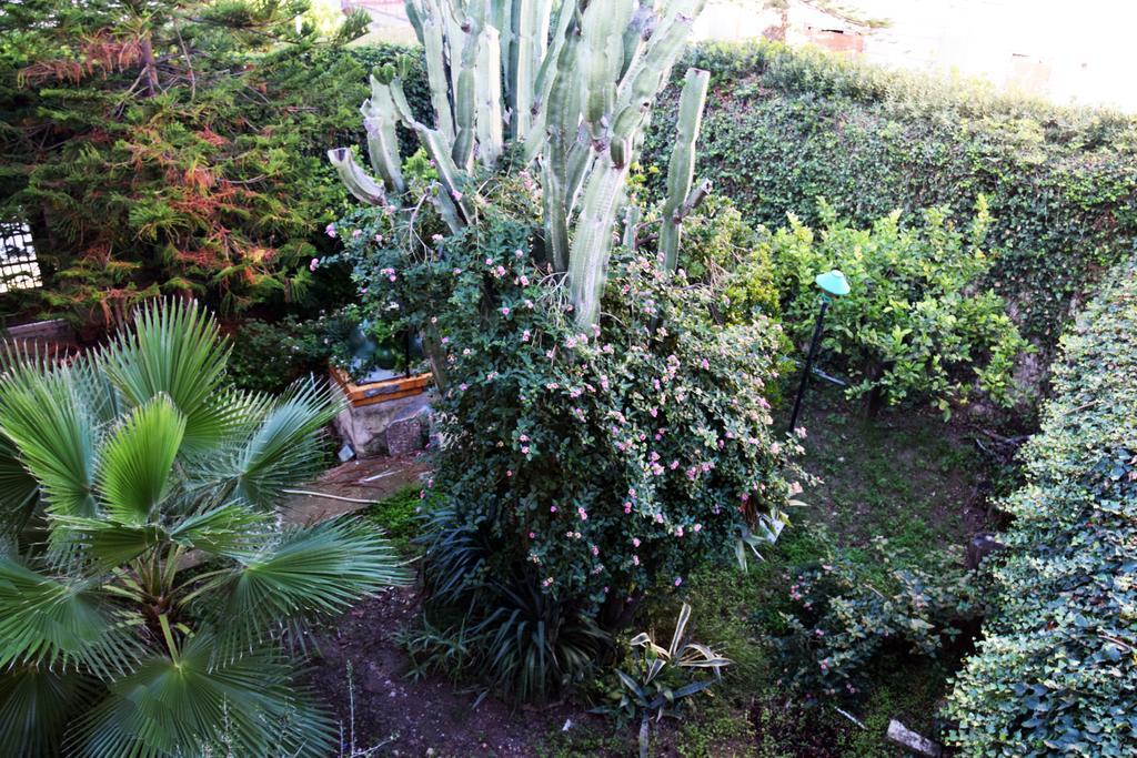 Artroom Garden Νότο Εξωτερικό φωτογραφία