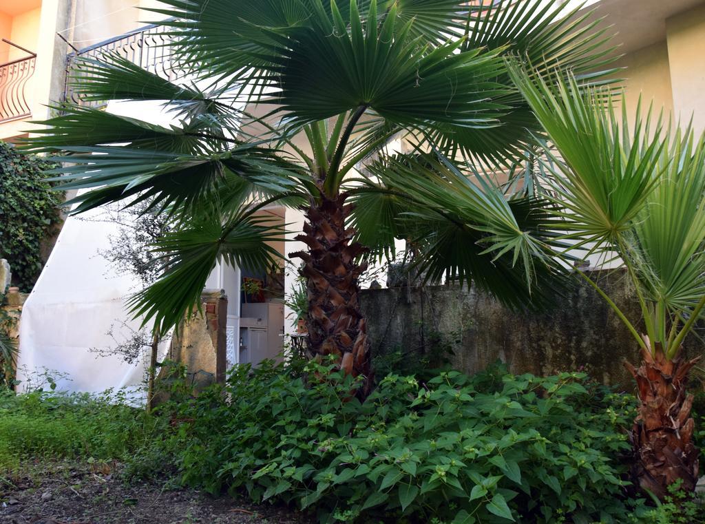 Artroom Garden Νότο Εξωτερικό φωτογραφία